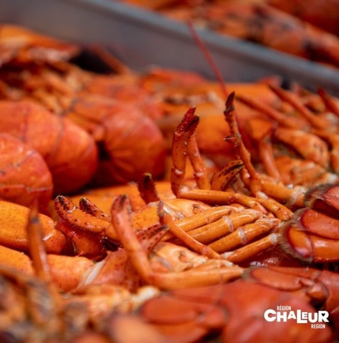 Homards : Où le trouver dans la région Chaleur